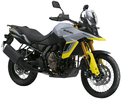 Suzuki DL800 DE